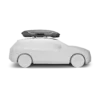 Thule Motion 3 XXL Hard car roof top Titanium