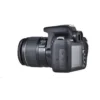 Canon EOS 2000D + EF-S 18-55 IS II + EF 50mm 1/2″ SLR Camera Body 24.1 MP CMOS 6000 x 4000 pixels Black