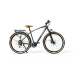 Sharp BK-DM03-EB electric bicycle Black, Brown Steel 20 26 kg