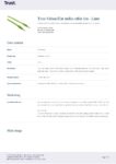 PDF Preview