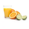 Princess 201004 Citrus Juicer Classic Black