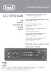 PDF Preview