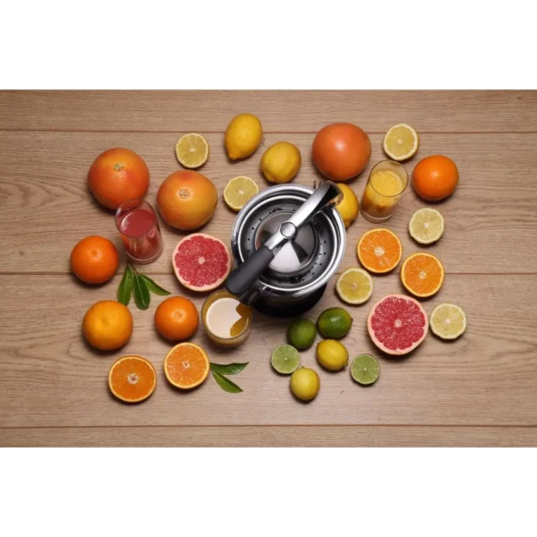 Gorenje CJ100HE electric citrus press 100 W Stainless steel