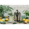 Gorenje CJ100HE electric citrus press 100 W Stainless steel