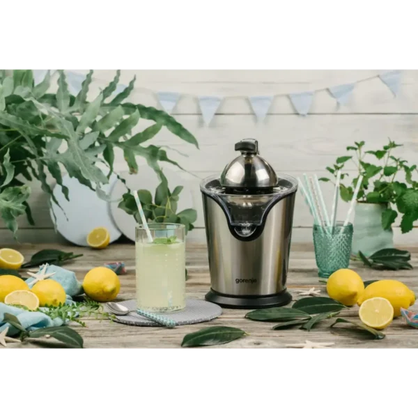 Gorenje CJ100HE electric citrus press 100 W Stainless steel