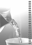 PDF Preview
