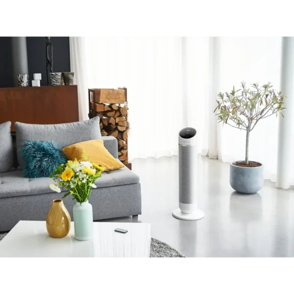 Rowenta Silent Comfort 3-in-1 HQ8120 Indoor Silver 2400 W Fan electric space heater
