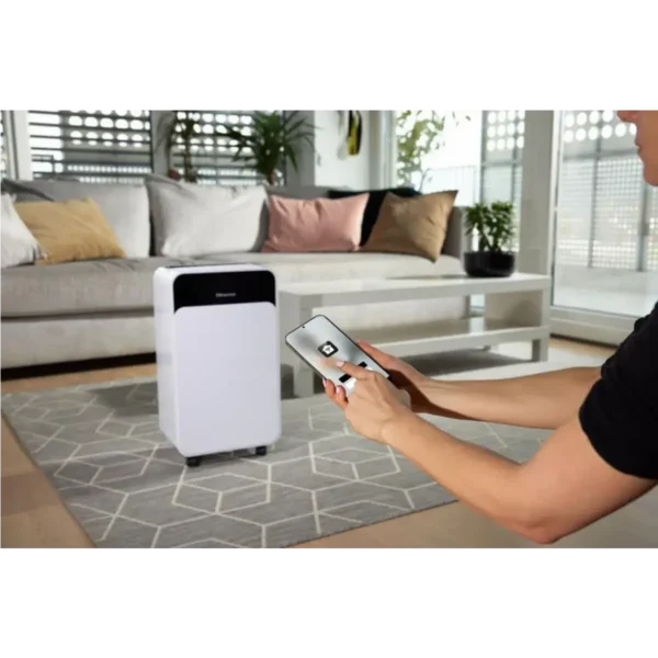 Hisense D16CW 2 L 40 dB 270 W White