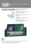 PDF Preview