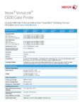 PDF Preview