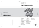 PDF Preview