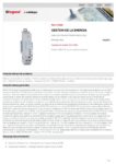 PDF Preview