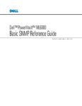 PDF Preview