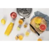 Princess 201861 Saloon Juicer Pro