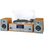 Trevi TT 1100 E Belt-drive audio turntable Wood