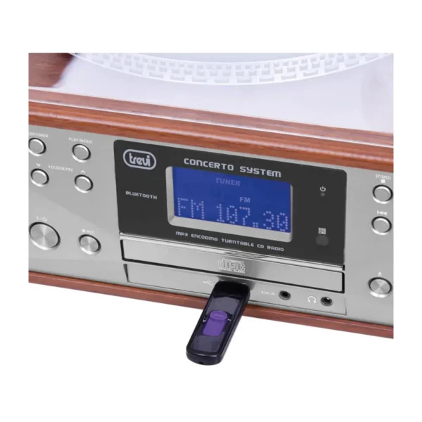 Trevi TT 1100 E Belt-drive audio turntable Wood