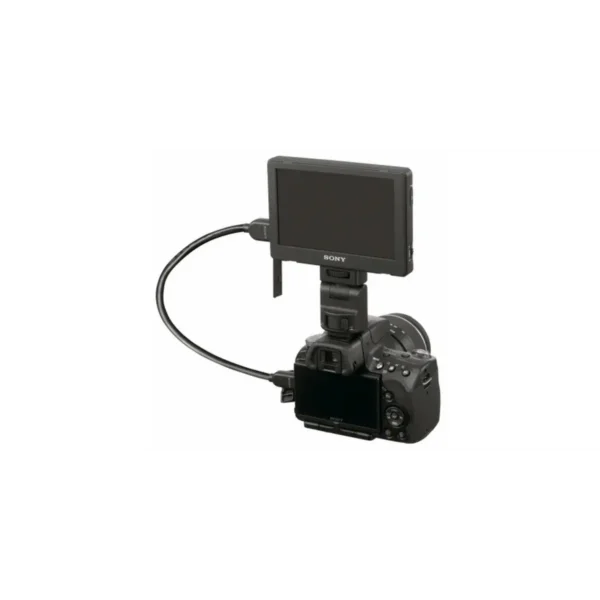 Sony CLM-V55