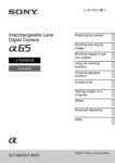 PDF Preview