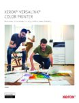 PDF Preview