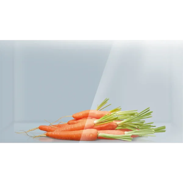 Siemens KI24RV62 fridge Built-in 221 L White