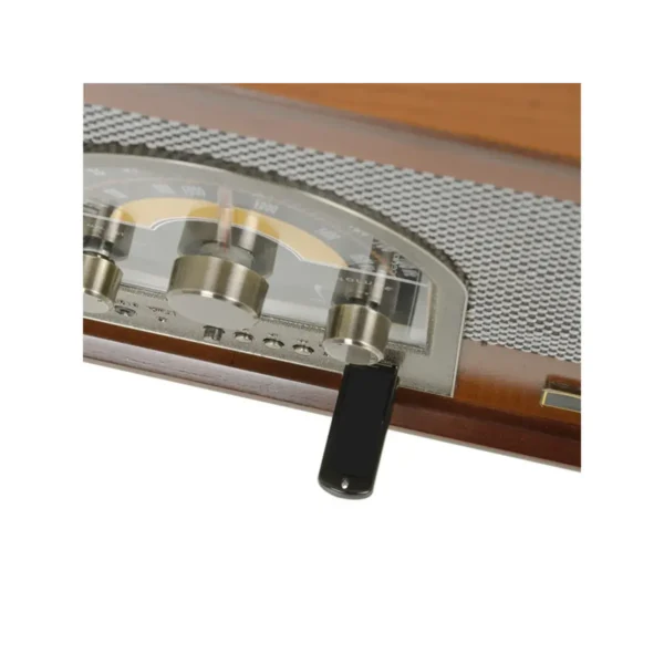 Trevi STEREO WIRELESS TURNTABLE USB AUX-IN TT 1040 BT WOOD