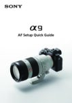PDF Preview