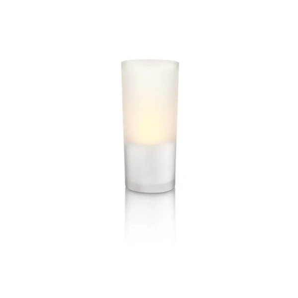 Philips CandleLights White 12 set 6913360PH