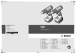 PDF Preview