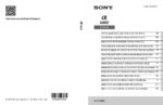 PDF Preview