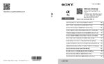 PDF Preview