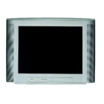 Philips 21PT5420/01 CRT TV 53.3 cm (21″) Silver