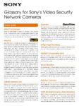 PDF Preview