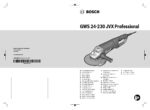 PDF Preview