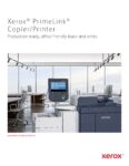 PDF Preview