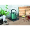 Unold 18217 BLITZKOCHER Jade electric kettle 0.6 L 800 W Green