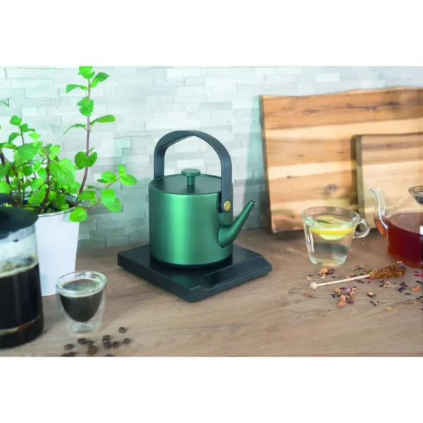 Unold 18217 BLITZKOCHER Jade electric kettle 0.6 L 800 W Green