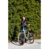 EMG Audrey Champagne Aluminium One Size 66 cm (26″) 26 kg Lithium