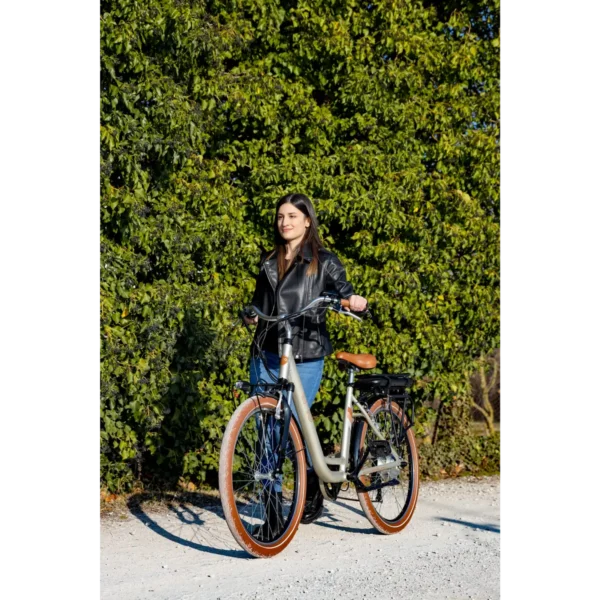 EMG Audrey Champagne Aluminium One Size 66 cm (26″) 26 kg Lithium