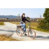 EMG Audrey Champagne Aluminium One Size 66 cm (26″) 26 kg Lithium