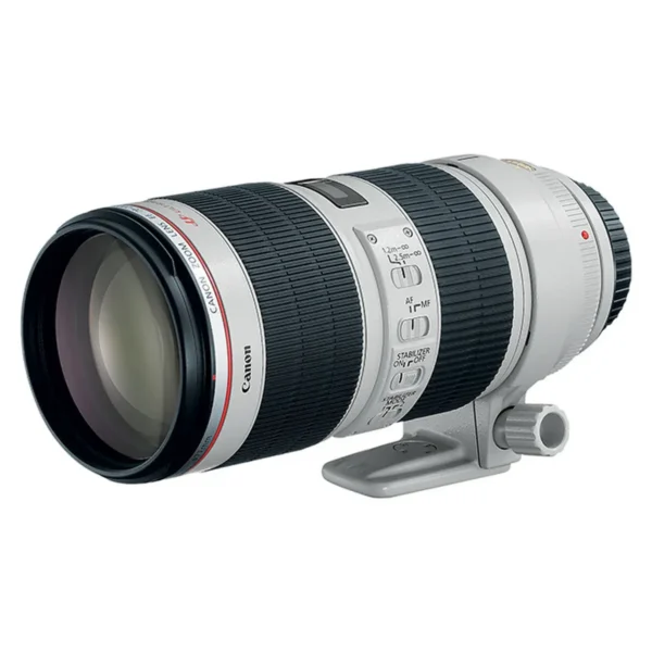 Canon EOS 6D Mark II + EF 24-70mm/F2.8L II USM + EF 70-200mm/F2.8L IS USM II SLR Camera Kit 26.2 MP CMOS 6240 x 4160 pixels Black