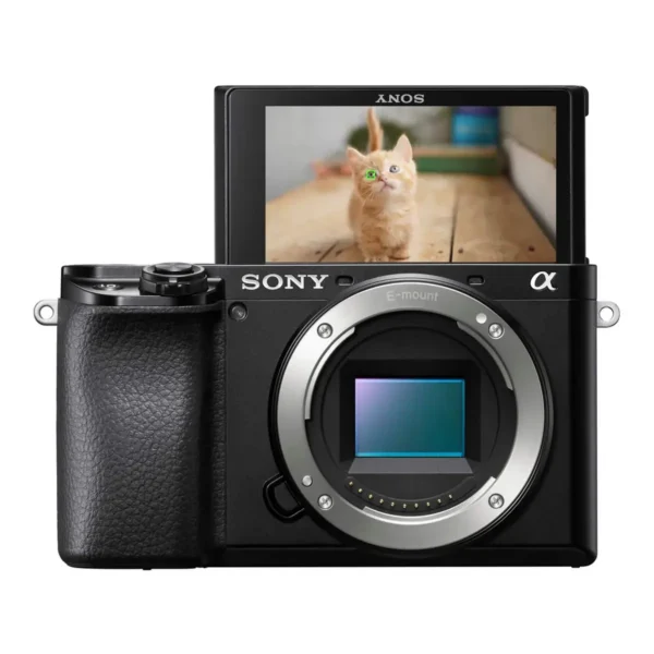 Sony α 6100 MILC 24.2 MP CMOS 6000 x 40000 pixels Black