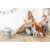TCL Breeva A2 Series, A2WWK, Smart HEPA Air Purifier and Humidifier With Wi-Fi & Voice Control, 24 m² rooms