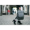 Case Logic LoDo Medium Backpack