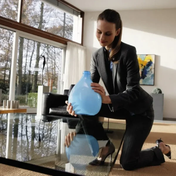 Philips Marathon FC9200/01 Bagless vacuum cleaner