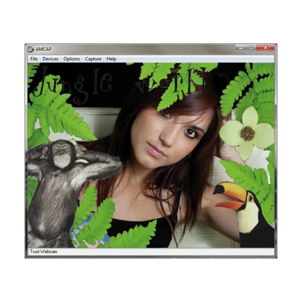 Trust Primo webcam 2 MP 640 x 480 pixels USB 2.0 Black, Silver