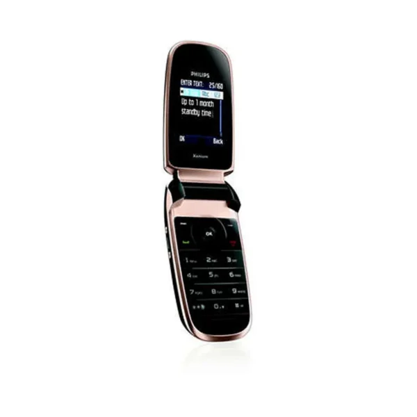Philips CT9A9HGRY/00 mobile phone 4.57 cm (1.8″) 78 g Grey