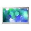 Philips LCD monitor BDT5530EM/06