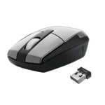 Trust Primo Wireless mouse RF Wireless Optical 800 DPI