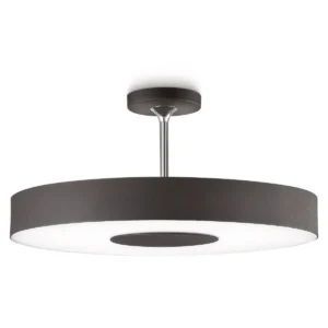 Philips InStyle Ceiling light 302063016