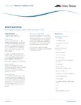 PDF Preview